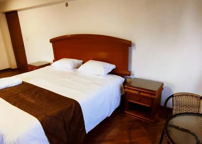 Hotel Elsa Wasi *